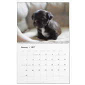 Schwarze Lab Welpen Hund Labrador Kalender (Feb 2027)