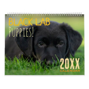 Schwarze Lab Welpen Hund Labrador Kalender