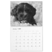 Schwarze Lab Welpen Hund Labrador Kalender (Jan 2027)