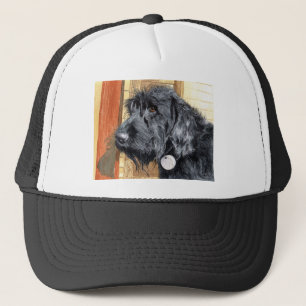Schwarze Labradoodle #1 Kappe