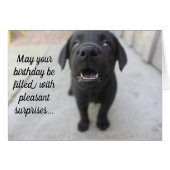 Schwarze Labrador-"angenehme Überraschungs-" (Vorderseite (Horizontal))