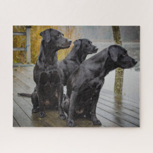 Schwarze Labrador auf dem Dock Puzzle
