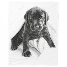 Schwarze Labrador-Decke