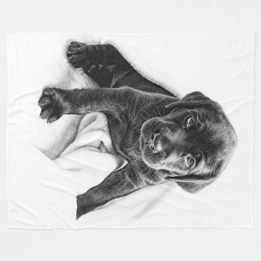 Schwarze Labrador-Decke Fleecedecke (Vorderseite (Horizontal))