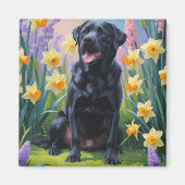 Schwarze Labrador Hunde Frühlingsblumen Malerei Magnet (Vorne)