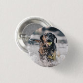 Schwarze Labrador-Plays holen Wasser Button (Vorne & Hinten)