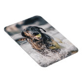 Schwarze Labrador-Plays holen Wasser Magnet (Rechte Seite)