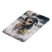 Schwarze Labrador-Plays holen Wasser Magnet (Linke Seite)