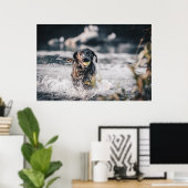 Schwarze Labrador-Plays holen Wasser Poster (Heimbüro)