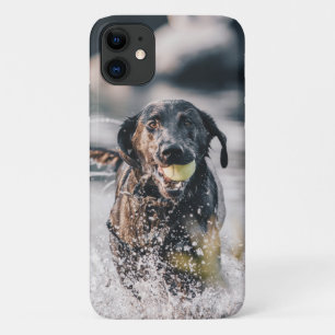 Schwarze Labrador-Plays in Wasser Case-Mate iPhone Hülle