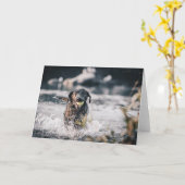 Schwarze Labrador-Plays in Wasser Karte (Gelbe Blume)