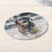 Schwarze Labrador-Plays in Wasser Runder Pappuntersetzer (Angewinkelt)