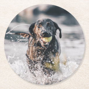 Schwarze Labrador-Plays in Wasser Runder Pappuntersetzer