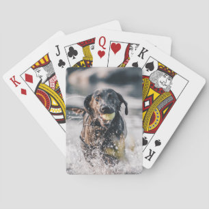 Schwarze Labrador-Plays in Wasser Spielkarten