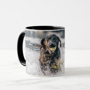 Schwarze Labrador-Plays in Wasser Tasse
