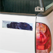 Schwarze Labrador-Regel! , SheilaWedegisArt Autoaufkleber (Auf Lkw)