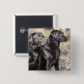 Schwarze Labrador-Retriever Button (Vorne & Hinten)