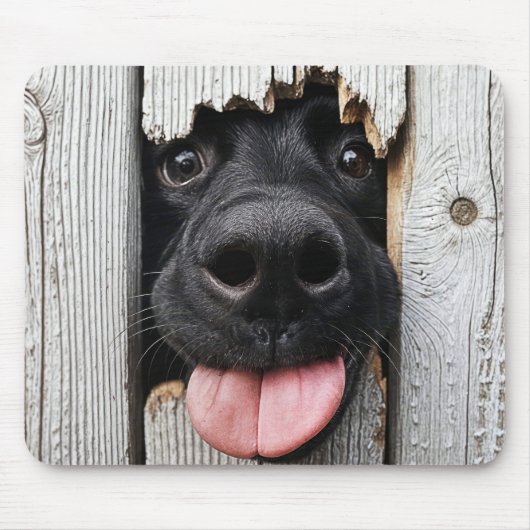 Schwarze Labrador-Retriever-Nase im Holzloch Mousepad (Vorne)