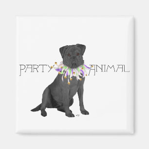 Schwarze Labrador Retriever-Party Magnet