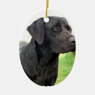 Schwarze Labrador retriever-Verzierung Keramikornament