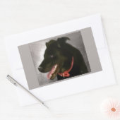 Schwarze Labrador-Sticker Rechteckiger Aufkleber (Umschlag)