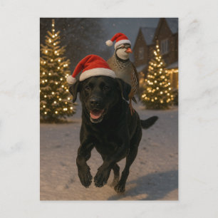 Schwarze Labrador und Rebhuhn Weihnachtskarte Postkarte