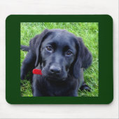 Schwarze Labrador-WelpenMausunterlage Mousepad (Vorne)