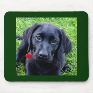 Schwarze Labrador-WelpenMausunterlage Mousepad