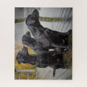 Schwarze Labradore auf einem Dock Puzzle (Vertikal)