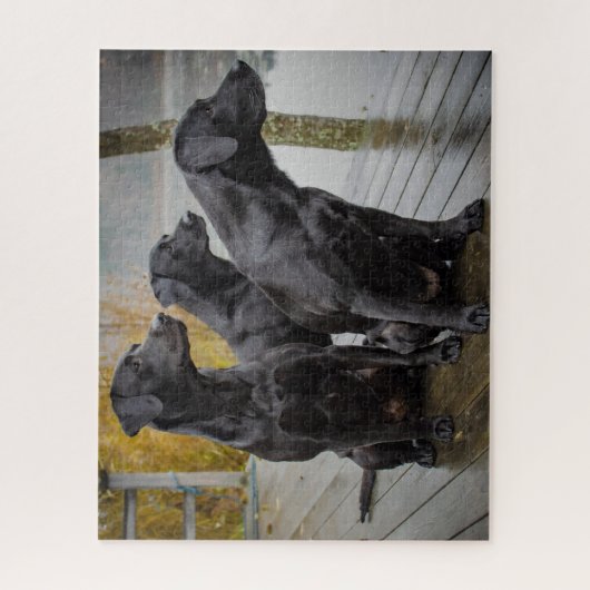 Schwarze Labradore auf einem Dock Puzzle (Vertikal)