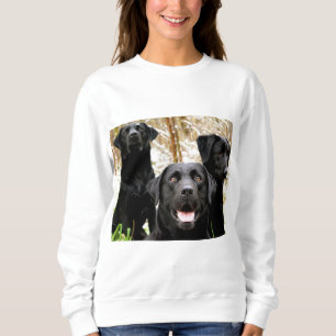 schwarze Labradorgruppe Sweatshirt