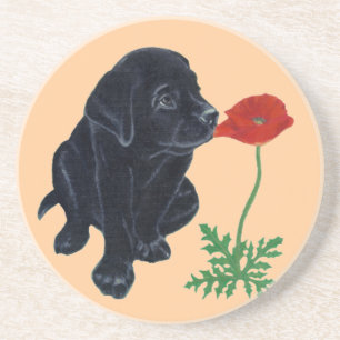 Schwarze Labradorwelpen-u. -mohnblumen-Malerei Getränkeuntersetzer