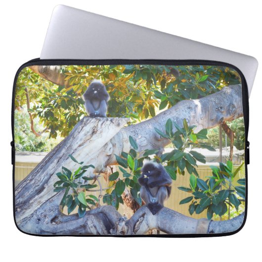 Schwarze Langur-Affen essen, Laptop-Sieb Laptopschutzhülle (Vorderseite)