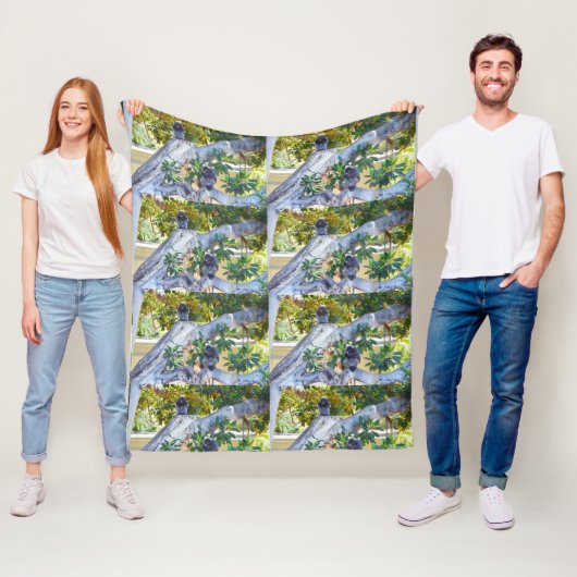 Schwarze Langur-Affen essen, Med Fleece Blanket (Beispiel)