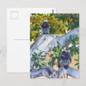 Schwarze Langur-Affen essen, Postkarte (Vorne/Hinten)