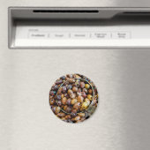 Schwarze Leccino Olive Magnet (In Situ (Geschirrspüler))