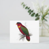 Schwarze Lory von Edward Lear Postkarte (Stehend Vorderseite)