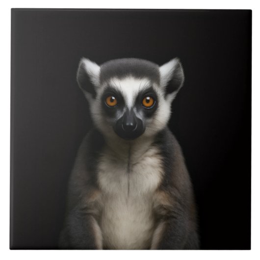Schwarze Luxe-Fliese 4 mit sanftem Lemur Fliese (Vorderseite)