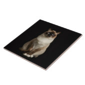 Schwarze Luxe-Fliese mit Birman-Katze Fliese (Seite)