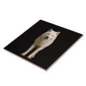 Schwarze Luxe-Fliese mit Ivory Arctic Wolf Fliese (Seite)