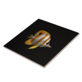 Schwarze Luxe-Fliese mit Riff-Schmetterlingsfisch Fliese (Seite)