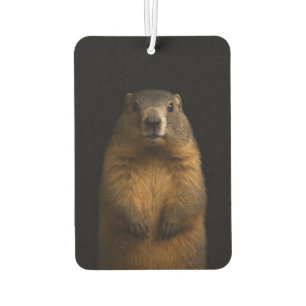 Schwarze Luxus-Auftakter für Autos, Fluffy Marmot Autolufterfrischer