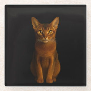 Schwarze Luxus-Glasuntersetzer 'Abyssinian Beauty' Glasuntersetzer