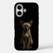 Schwarze Luxus-iPhone 16 Hülle, Sphynx-Katze