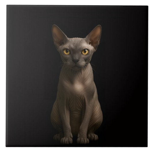 Schwarze Luxus-Kachel mit Sphynx-Katze Fliese (Vorderseite)