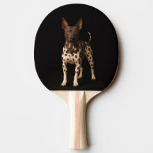 Schwarze Luxus-Ping-Pong-Schläger mit Haarlosem Te