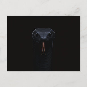 Schwarze Luxus-Postkarte mit Schwarzer Mamba Postkarte