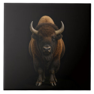 Schwarze Luxusfliese 4 mit Amerikanischem Bison Fliese
