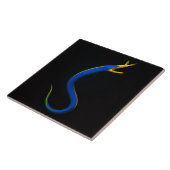 Schwarze Luxusfliese 4 mit Blauem Band-Aal Fliese (Seite)