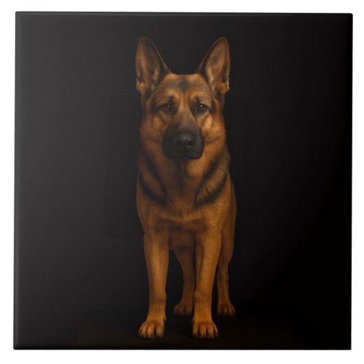 Schwarze Luxusfliese 4 mit Deutschem Schäferhund Fliese (Vorderseite)